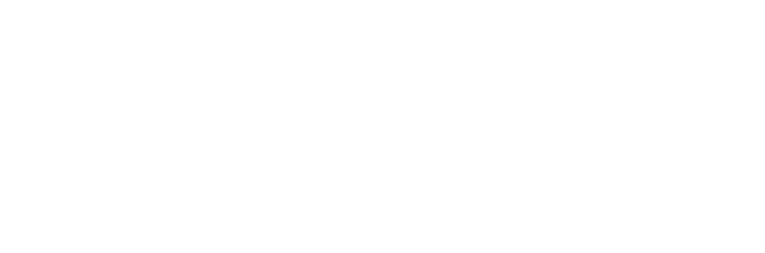 Fastcom_logo_weiss